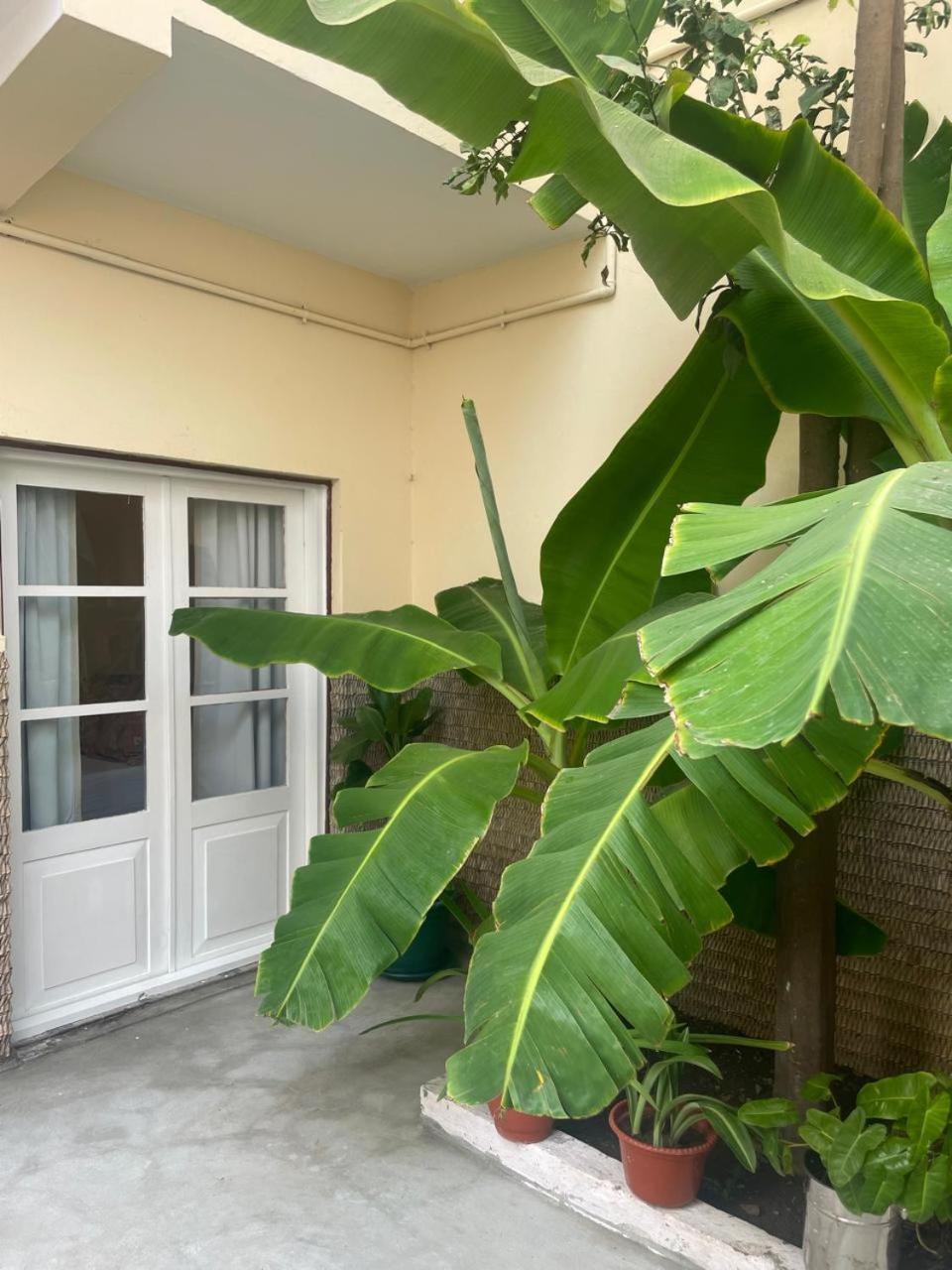 Bed and breakfast Casa Estrela - Sea & Art *